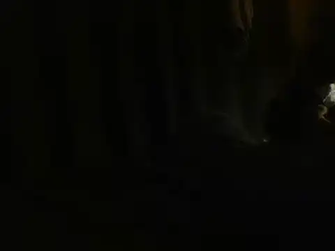 BonerKickstand: διαδικτυακό σόου στην κάμερα