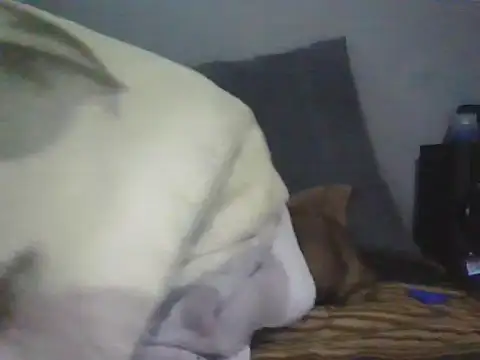 Chat XXX en directo de blackboylovely