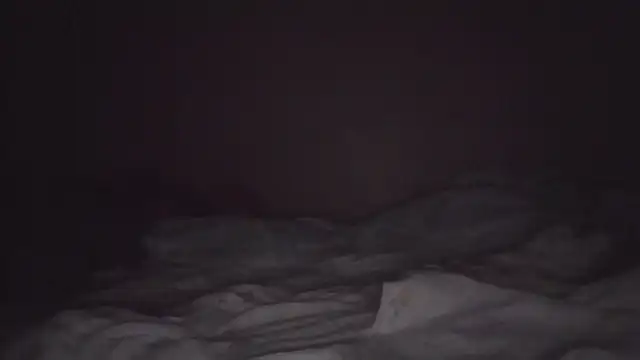 JoaoPinto0 élő XXX-chatje