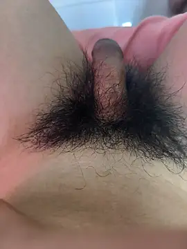 lvlv7878 Show in webcam