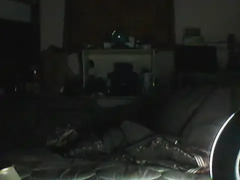 Show webcam de CR3M3_FIR3