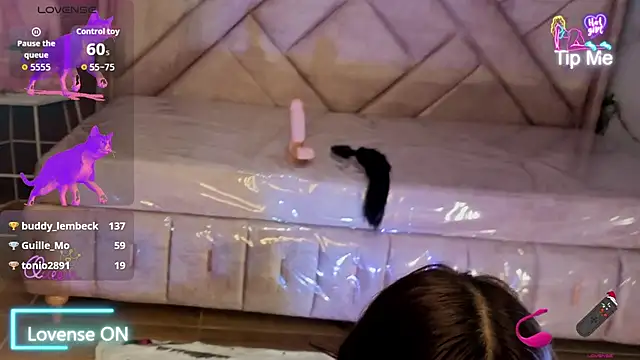 Victorycat_v Live XXX-Chat