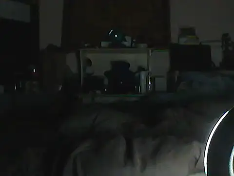 CR3M3_FIR3 Show in webcam