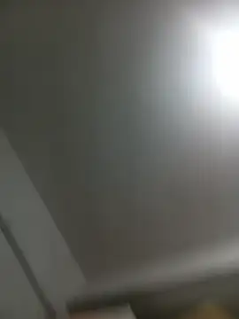 bolzanibruna – Naživo XXX chat