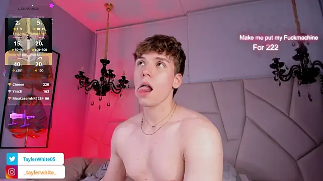 TaylerWhite 라이브 XXX 채팅