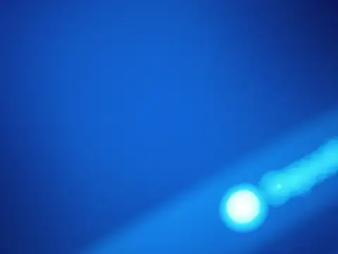 crazycam619のライブXXXチャット