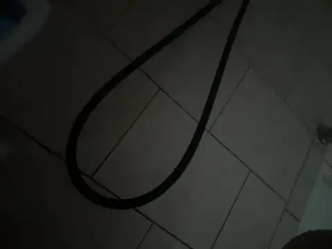 GypsyNova69: вебкам-шоу
