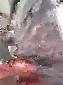 rajsinghfuckingのウェブカメラショー