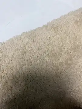 cumm_m 网络视讯表演