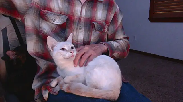 Opondestre00420 Live XXX-Chat