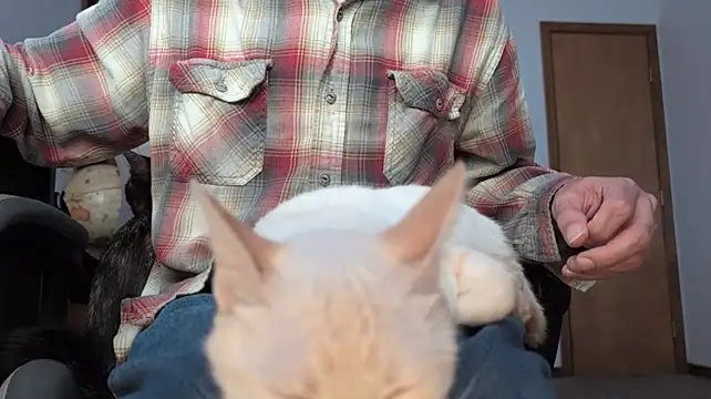 Opondestre00420 Live XXX-Chat