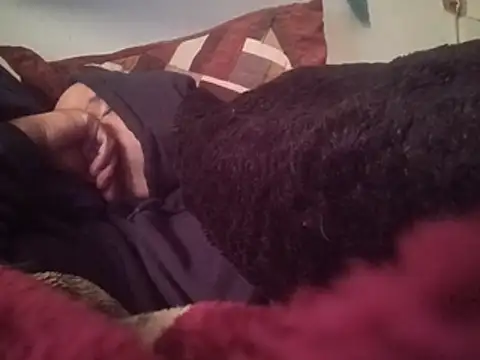 DickNasty6908 라이브 XXX 채팅