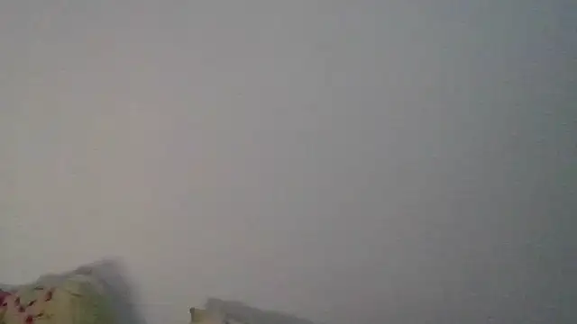 Chat +18 de littlesparkle ao vivo