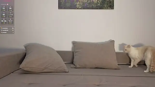 Živý XXX chat AfterDarkTeam