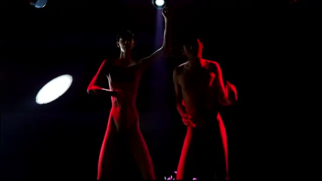 הופעת וובקאם של NDN-6666