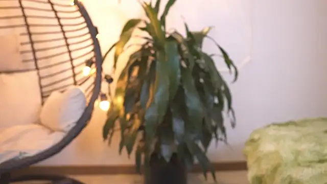 Онлайн чат XXX AliiceWonderland_