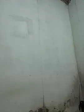 Ohoonny_willyzn Webbikameraesitys