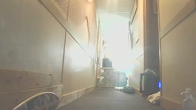Yankeedave420 现场XXX聊天