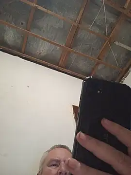 SA_BULL Pertunjukan Webcam