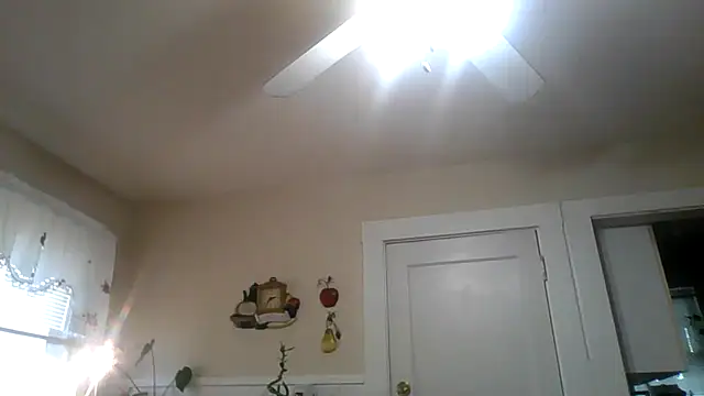 PapiVictorDaddy live XXX chat