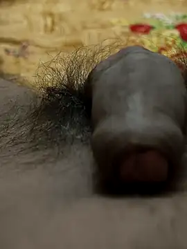 Show de webcam de bhabhikijvani5-