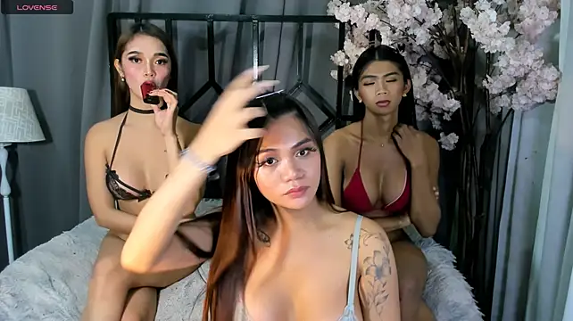 ts_salsalitas69 Show Webcam