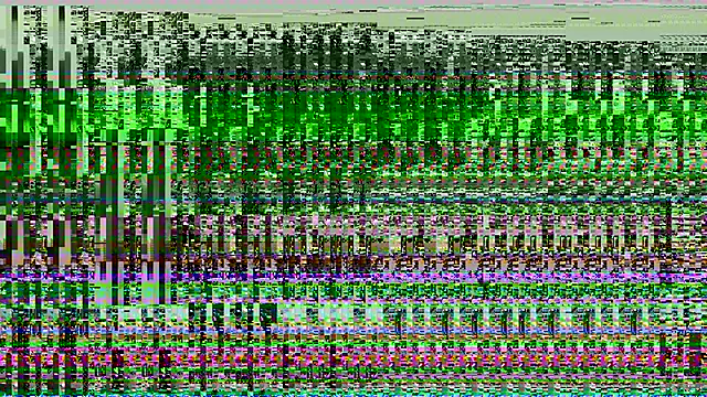 leidenschaftlicheJJ – Live XXX-chat