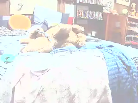 Živý XXX chat Makowboy