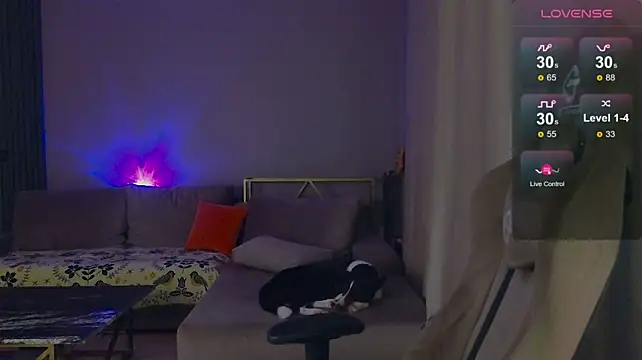 Chat XXX en directo de DebugMee