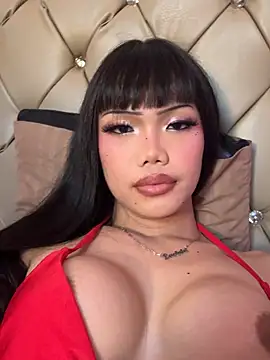 StarLovee 라이브 XXX 채팅