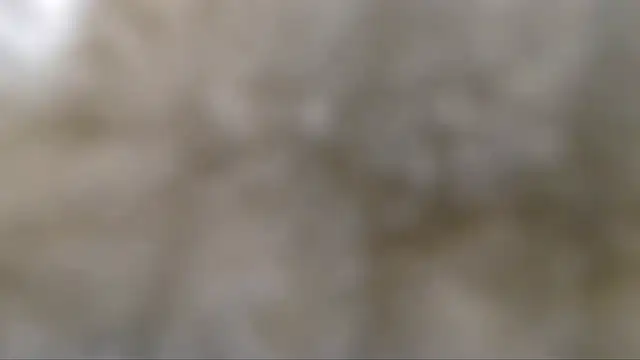Živý XXX chat CorneliaSweet