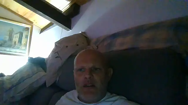 Show webcam de davigochi77bcn