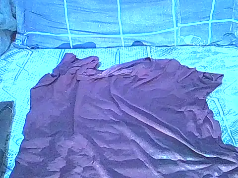 Chat XXX Live SurXperience
