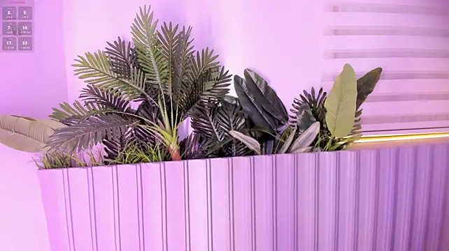 stephanymonroe's Live XXX Chat