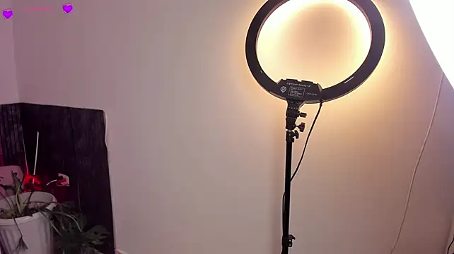 Živý XXX chat Royaltempt
