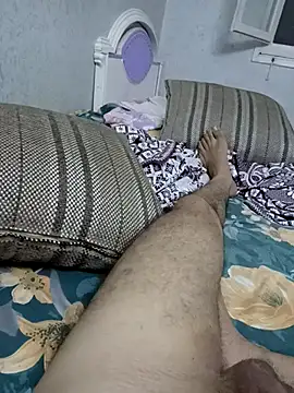 عرض كام msmsg