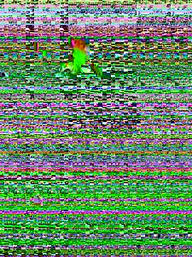 GabrielX77_ élő XXX-chatje