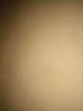 Giselabrunette25 现场XXX聊天