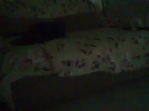 Show de webcam de Andre15789