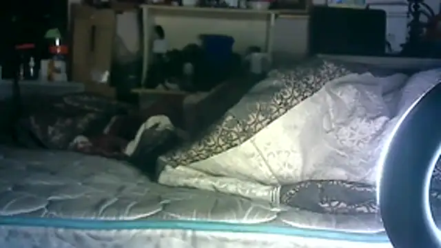 Show Webcam de SINC3R3LY_FIR3