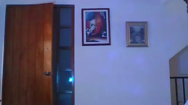 nina_laurentt 라이브 XXX 채팅