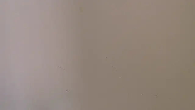 Ariel_Pink – Live XXX-chat