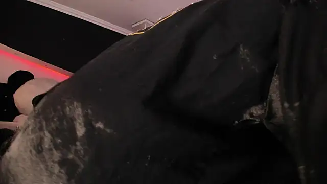 Chat XXX ao vivo de Coral_Gibson