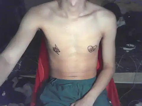 Show webcam de lyus1111