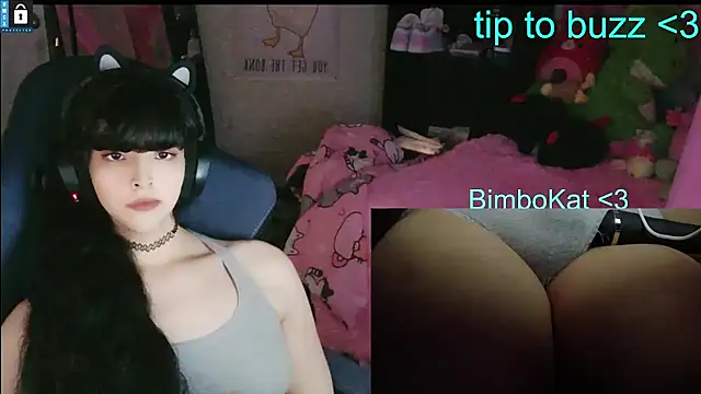 Pokazy przed kamerką – BimboCat
