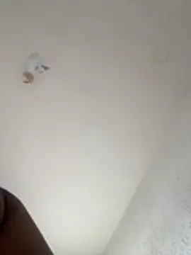 Chat +18 de cariocasafada ao vivo
