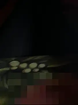 TGwzPDzMgJheESnのウェブカメラショー