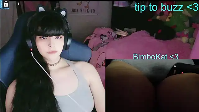 BimboCat Live XXX-chat