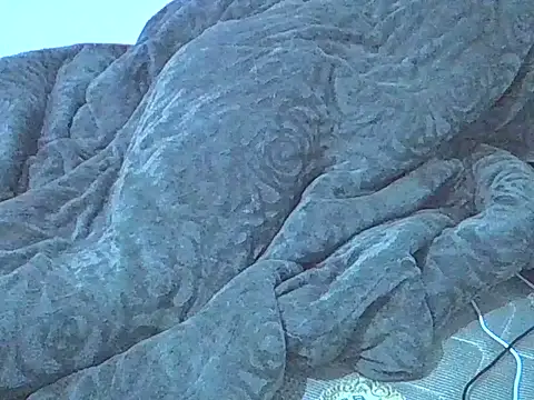 SurXperience Webcamshow