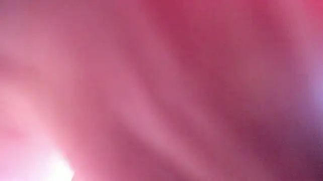 Chat XXX ao vivo de -bae